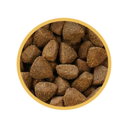 Biofeed Euphoria Fresh Turkey 12kg Monoproteinowa Sucha Karma Dla Dorosłych Psów Średnich I Dużych Ras Ze Świeżym Indykiem