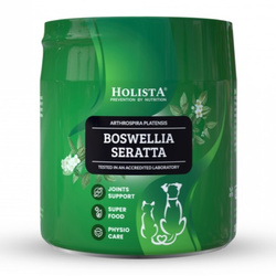Holista Boswellia Seratta 100g Suplementy Dla Psa I Kota Zwyrodnienia Stawów Urazy Kontuzje
