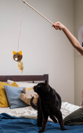 Zabawka Interaktywna Wędka Dla Kota Mysz Małą Brązowa 40cm