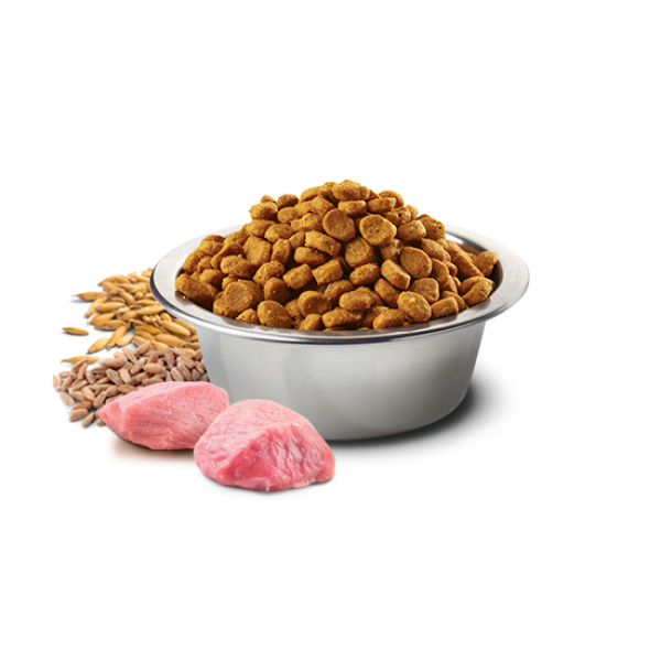 Farmina N&D Dog Ancestral Grain Adult Medium&Maxi Sucha Karma Dla Dorosłych Psów Średnich I Dużych Ras