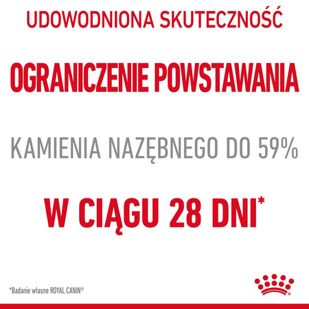 Royal Canin Dental 400g Karma Sucha Dla Kotów Dorosłych Redukująca Odkładanie Kamienia Nazębnego