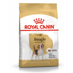 Royal Canin BHN Beagle Adult 12kg Karma Sucha Dla Psów Dorosłych Rasy Beagle