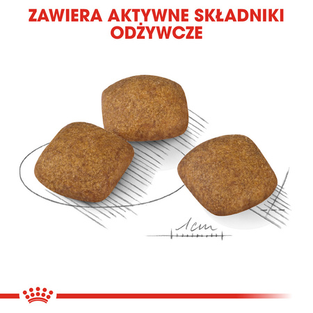 Royal Canin CCN Medium Relax Care 3kg Karma Sucha Dla Psów Dorosłych Ras Średnich Narażonych Na Działanie Stresu