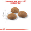 Royal Canin Outdoor 10kg Sucha Karma Dla Kotów Dorosłych Wychodzących Na Zewnątrz