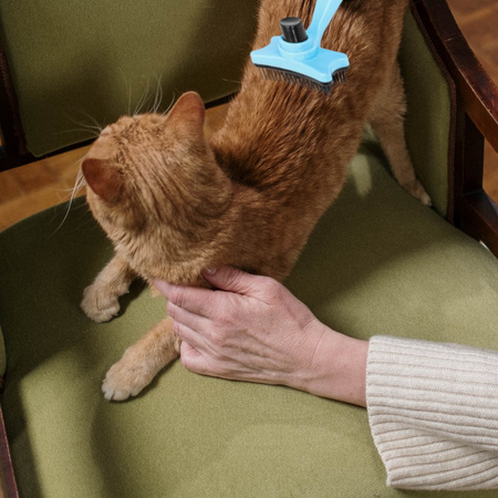 Samoczyszcząca Szczotka Dla Psa Kota Niebieska