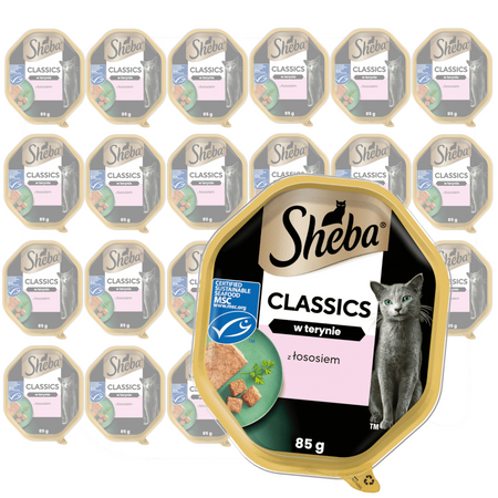 Sheba Classics 22x85g Z Łososiem Mokra Karma Dla Kotów W Terynie