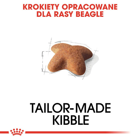 Royal Canin BHN Beagle Adult 12kg Karma Sucha Dla Psów Dorosłych Rasy Beagle