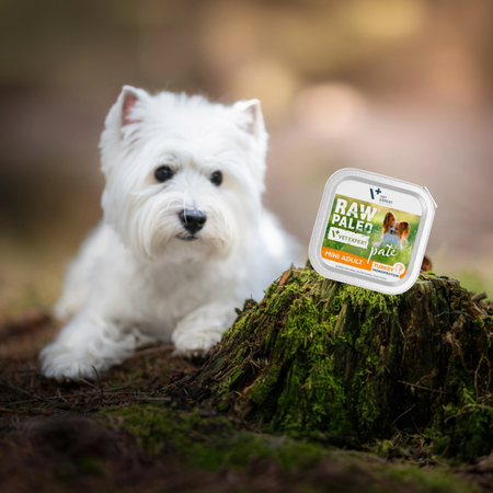 Raw Paleo Pate Mini Adult Turkey Tacka 8x150g Mokra Karma Dla Psów Małych Ras z Indykiem