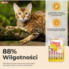 Inaba Cat Churu 20x14g (280g) Kremowy Przysmak Dla Kota Pasta Mix Z Kurczakiem I Wołowiną