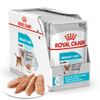 Royal Canin CCN Urinary Care 12x85g Karma Mokra Pasztet Dla Psów Ochrona Dolnych Dróg Moczowych