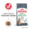 Royal Canin Digestive Care 10kg Karma Sucha Dla Kotów Dorosłych Wspomagająca Przebieg Trawienia
