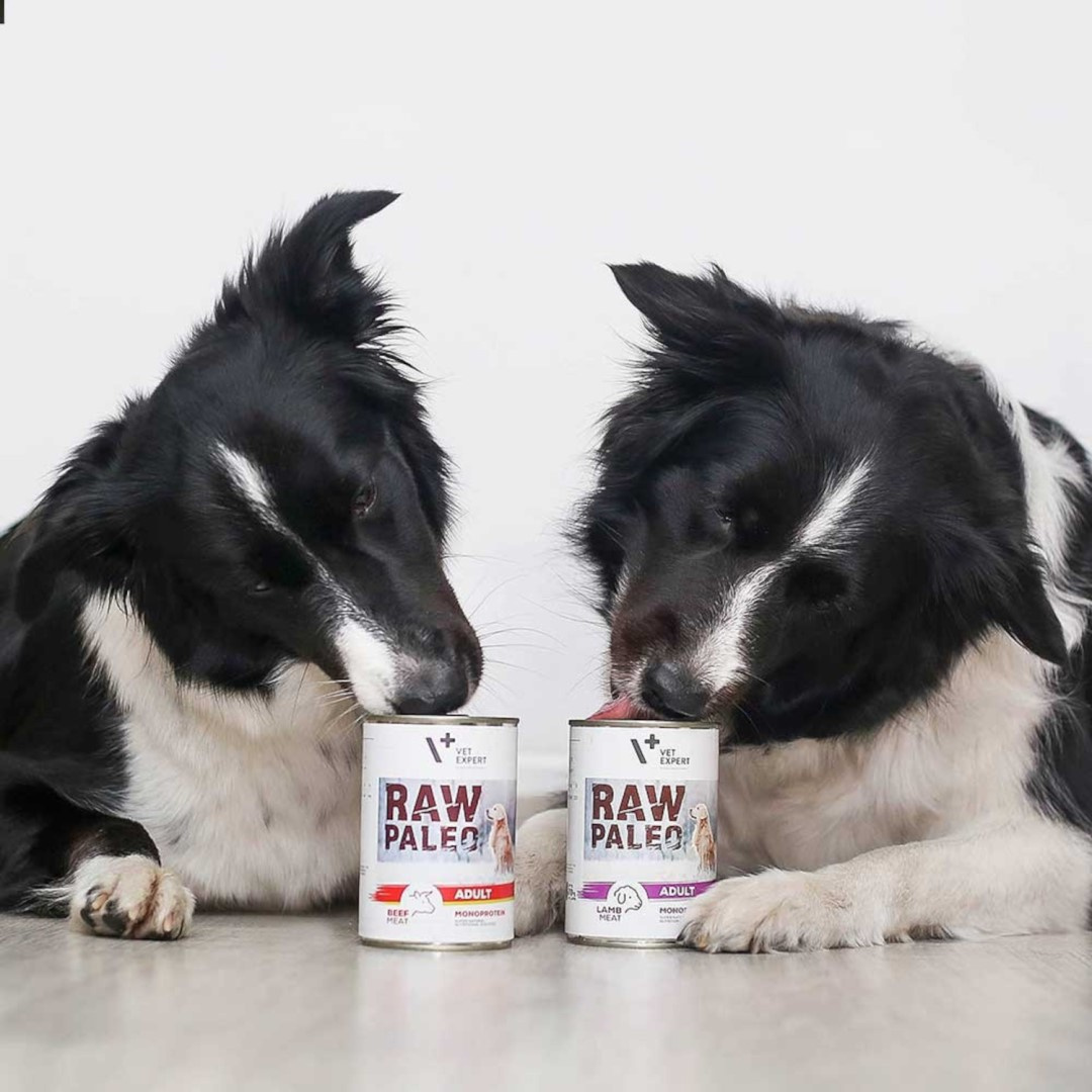Raw Paleo Adult Monoprotein Mokra Karma Dla Psa z Wołowiną 