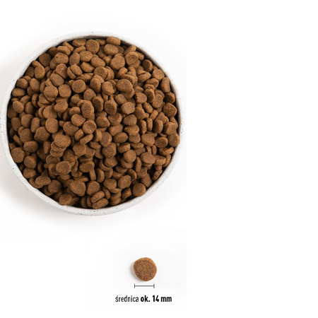 Orijen Regional Red 11,4kg Sucha Karma Dla Psa Mix Czerwonych Mięs