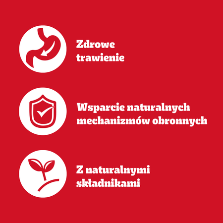 Pedigree Adult Mokra Karma Dla Psów Z Kurczakiem I Marchewką W Galaretce 6x400g