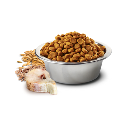 Farmina N&D Ocean Codfish Spelt Oats Orange Adult Mini 2,5kg Sucha Karma Dla Dorosłych Psów Małych Ras Dorsz Owies Pomarańcza