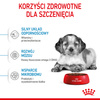 Royal Canin Shn Medium Puppy 2x4kg Karma Sucha Dla Szczeniąt Od 2 Do 12 Miesiąca Ras Średnich