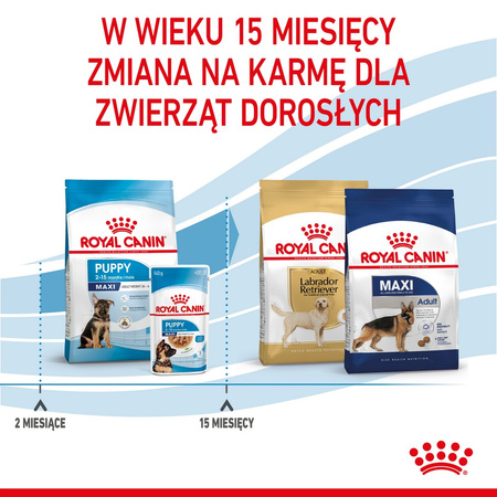 Royal Canin Maxi Puppy 15kg Karma Sucha Dla Szczeniąt Ras Dużych + Szampon VetExpert 250ml