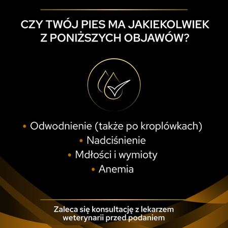 Purina Pro Plan Veterinary Diets NF Renal Function Sucha Karma Dla Psa 12kg Niewydolność Nerek