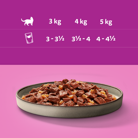 Zestaw 2szt Whiskas Adult Soczyste Kąski Pure Delight Saszetki 48x85g Mokra Karma Dla Dorosłych Kotów w Galaretce