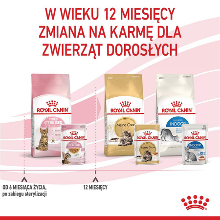 Royal Canin FHN Kitten Sterilised W Galaretce 85g Karma Mokra Dla Kociąt Sterylizowanych Do 12 Miesiąca Życia