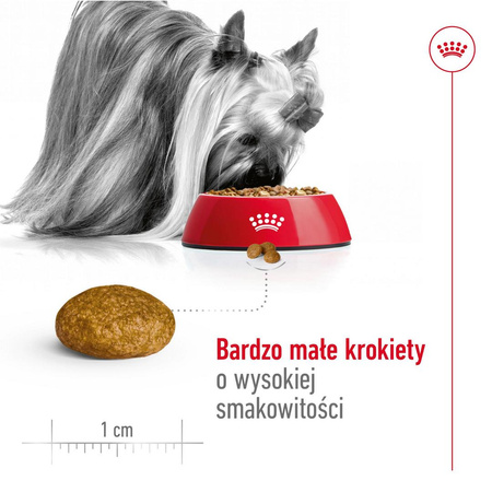 Royal Canin X-Small Adult 3kg Sucha Karma Dla Psów Dorosłych Ras Miniaturowych do 4kg