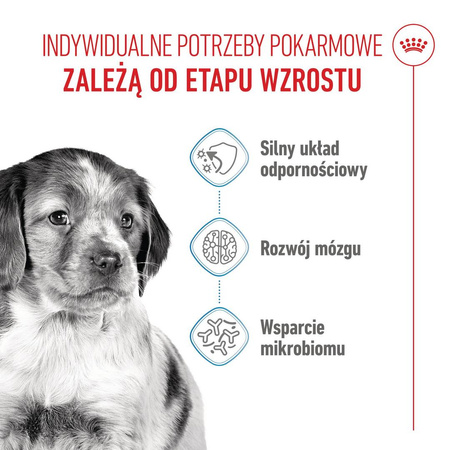 Royal Canin Shn Medium Puppy 4kg Karma Sucha Dla Szczeniąt Od 2 Do 12 Miesiąca Ras Średnich