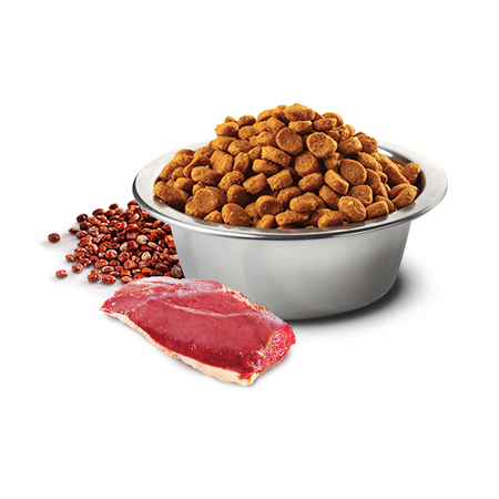 Farmina N&D Quinoa Dog Skin & Coat 7kg Sucha Karma Dla Dorosłych Psów Średnich i Dużych Ras z Kaczką Na Skórę i Sierść