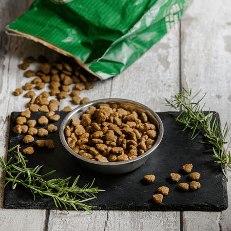 James Wellbeloved Adult 10kg Sucha Karma Dla Dorosłych Psów Dużych Ras Bogata W Indyka I Ryż