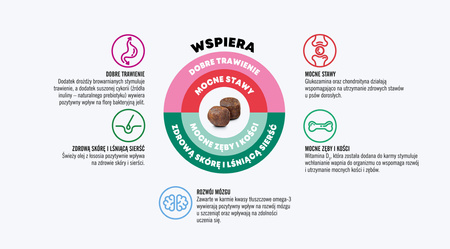 John Dog GOOD FORM PUPPY Kurczak z Wołowiną 12kg - sucha karma dla szczeniąt KSIĄŻKA GRATIS