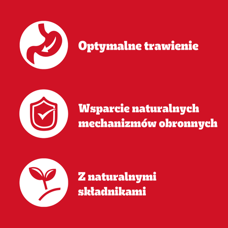 PEDIGREE Wybór Smaków w Galaretce 2 szt 80x100g saszetki Karma mokra dla psa