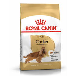 Royal Canin BHN Cocker Spaniel Adult 12kg Karma Sucha Dla Psów Dorosłych Rasy Cocker Spaniel