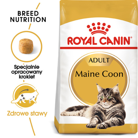 Royal Canin FBN Maine Coon Adult 4kg Karma Sucha Dla Kotów Dorosłych Rasy Maine Coon