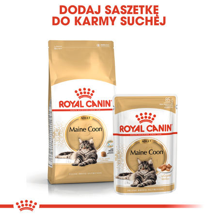 Royal Canin FBN Maine Coon Adult 4kg Karma Sucha Dla Kotów Dorosłych Rasy Maine Coon