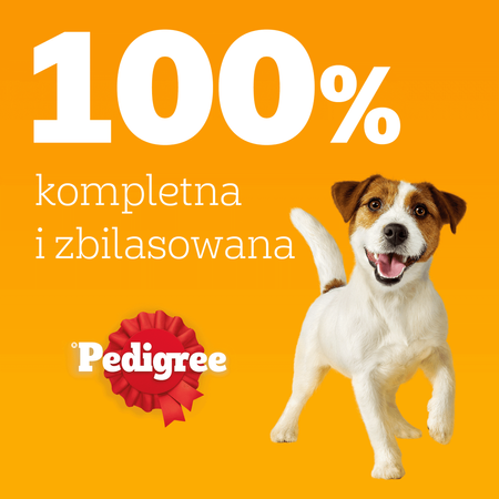 Pedigree Adult Saszetka 4x100g Wybór Smaków Mokra Karma Dla Psa Wołowina Jagnięcina Indyk