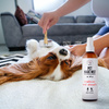 PETS Magic Mist Nawilżająca Odżywka Dla Psa 250ml Magiczna Mgiełka Do Sierści Łatwe Rozczesywanie i Odżywiona Sierść