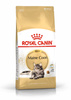 Royal Canin Maine Coon 10kg+12x85g Karma Dla Dorosłego Kota