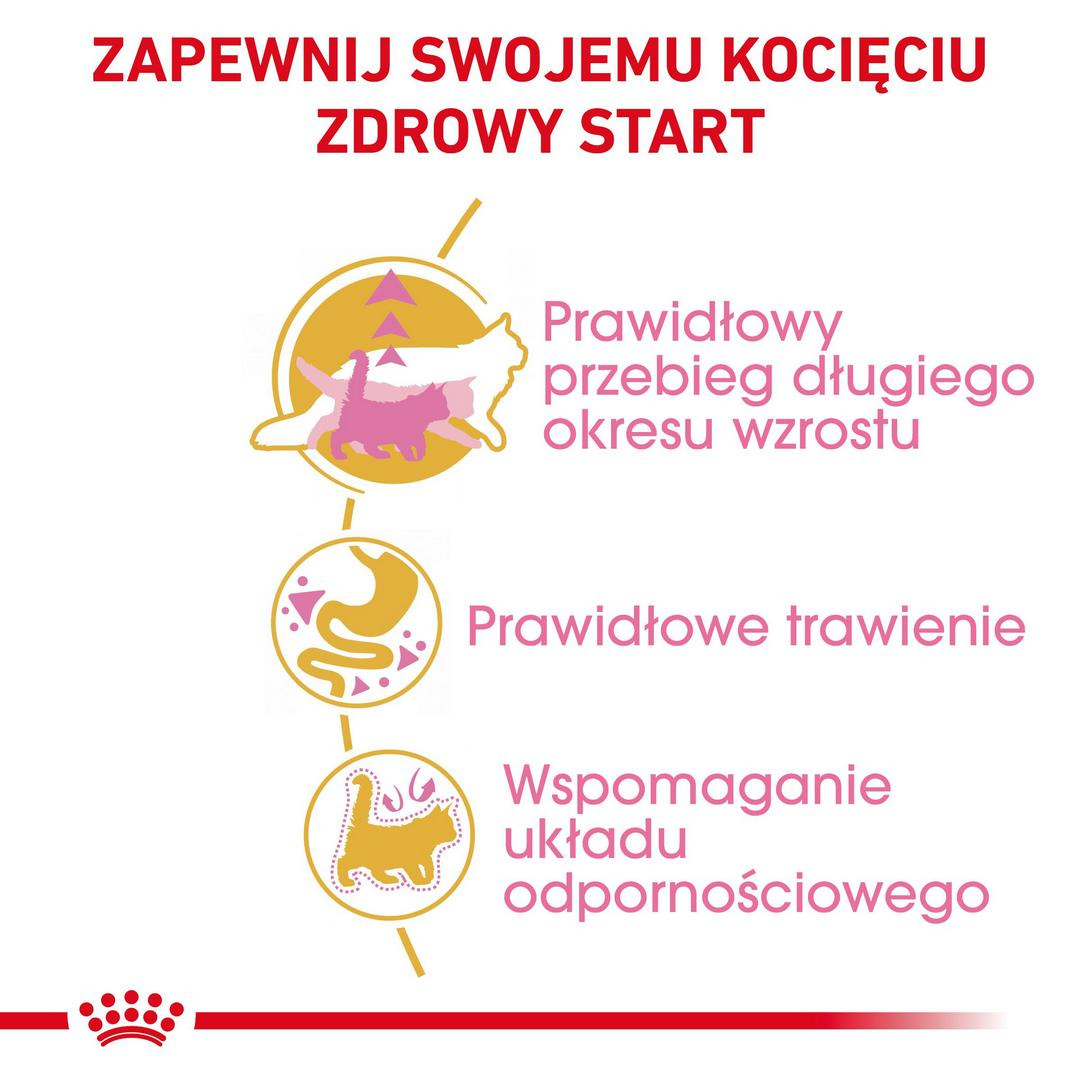 Karma Sucha Dla Kociąt Do 15 Miesiąca Rasy Maine Coon