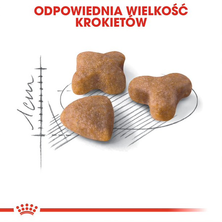 ROYAL CANIN FHN Sensible33 Adult 10kg sucha karma dla dorosłych kotów z wrażliwym układem pokarmowym