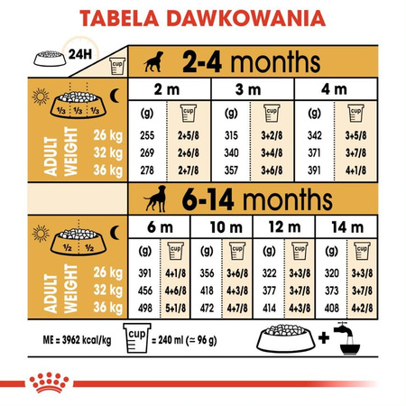 Royal Canin Puppy Boxer Sucha Karma Dla Szczeniąt 12kg + Mokra W Sosie 12x85g