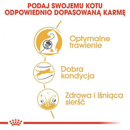 Royal Canin FBN Bengal Adult 10kg Karma Sucha Dla Kotów Dorosłych Rasy Bengalskiej Powyżej 12 Miesiąca Życia