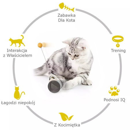 Zabawka Interaktywna Dla Kota Uciekająca Piłeczka Piórko Kolor Czarny