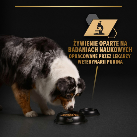 Purina Pro Plan Everyday Nutrition All Size Adult 12x400g Mokra Karma Dla Psa Bogata w Indyka i Rybę w Galaretce