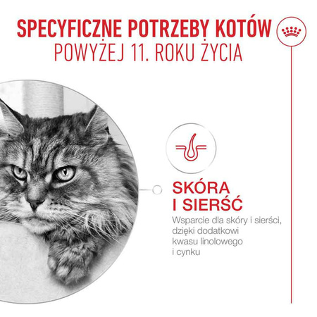 Royal Canin Ageing 11+ Karma Mokra 6x85g Kawałki w Sosie Dla Kotów Dojrzałych Po 11 Roku Życia
