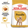 Royal Canin BHN Poodle Adult 1,5kg Karma Sucha Dla Psów Dorosłych Rasy Pudel Miniaturowy
