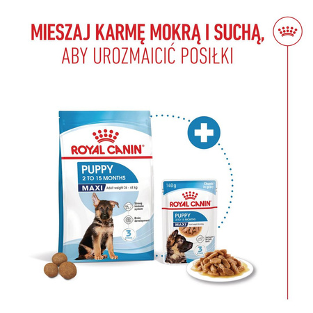 Royal Canin Maxi Puppy 1kg Karma Sucha Dla Szczeniąt Od 2 Do 15 Miesiąca Życia Ras Dużych