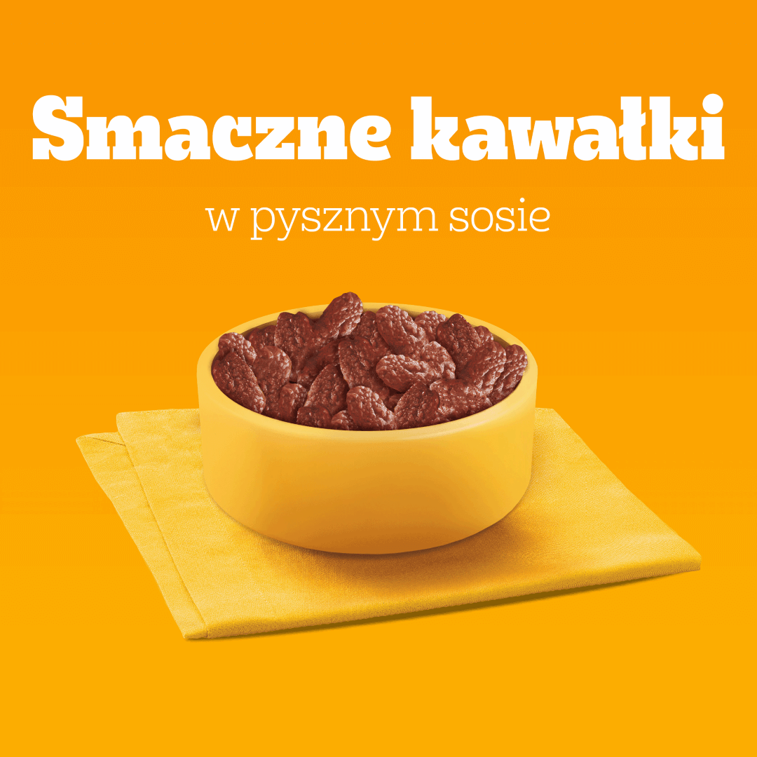 Pedigree Adult Mokra Karma Dla Psa 80x100g Wybór Smaków 