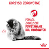 Royal Canin FCN Hairball Care 2kg Karma Sucha Dla Kotów Dorosłych Eliminacja Kul Włosowych