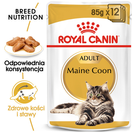 Royal Canin FBN Maine Coon Adult 48x85g Karma Mokra W Sosie Dla Kotów Dorosłych Rasy Maine Coon