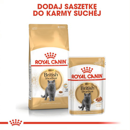ROYAL CANIN British Shorthair 85g karma mokra w sosie dla kotów dorosłych rasy brytyjski krótkowłosy