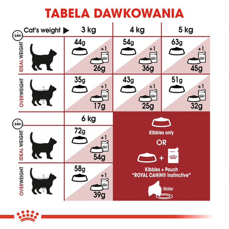 Royal Canin Regular Fit 32 Adult 10kg Karma Sucha Dla Kotów Dorosłych Wspierająca Idealną Kondycję
